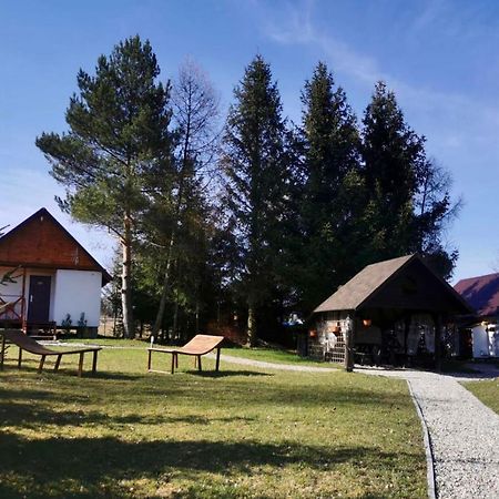 Agroturystyka Pod Sniezna Bystrzyca Klodzka Exterior photo